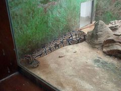 -石家庄市动物园