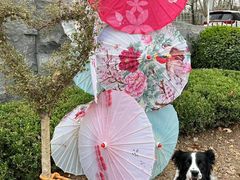 -静之湖度假区