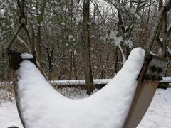 -青峰峡国家森林公园