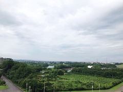 -洈水景区