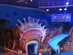 -烟台海昌鲸鲨海洋公园