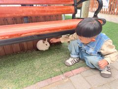 -郑州方特梦幻王国