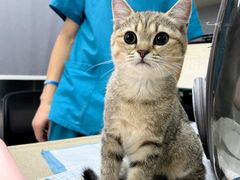 -宠颐生嘉德动物医院