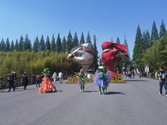 -黄海国家森林公园