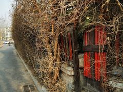 -斯多格书乡(北京大学畅春园店)