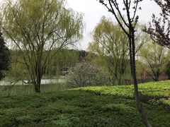 -羊山湖公园