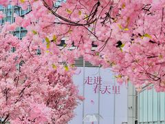 -首开·龙湖成都西宸天街