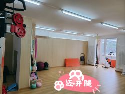 -初练产后康复