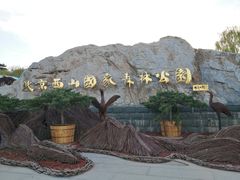 -北京西山国家森林公园