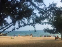 -玫瑰海岸文化旅游度假区