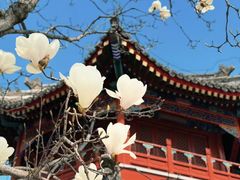 -西海子公园