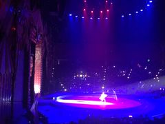 -珠海横琴长隆《卡卡虎奇遇记》