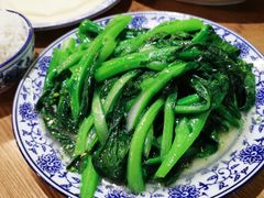 -西北狼(GOGO新天地店)