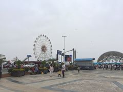 -碧海金沙