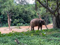 -广州长隆国际大马戏