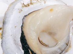桑拿蚝-蚝专家(北滘店)
