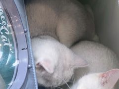 -美联众合24小时·皮肤科·外科·全科诊疗中心(华苑分院)