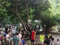 -成都市活水公园