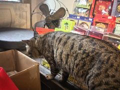 -正阳书局(西四南大街店)