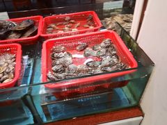 -皮记海鲜1995(寮步店)