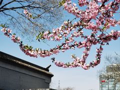 -北京鲁迅博物馆(北京新文化运动纪念馆鲁博馆区)