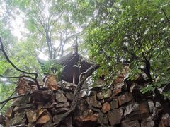 -绮园景区