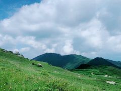 -终南山国家森林公园