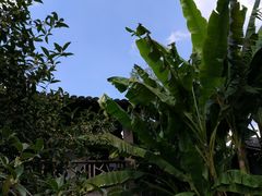 -乌村