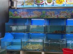 -陈小厨海鲜大咖·15年平潭味(龙王头店)