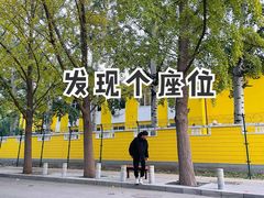 -三里屯东五街银杏大道
