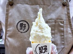 -野人先生现做冰淇淋(北京悠唐购物中心店)