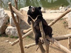 -石家庄市动物园