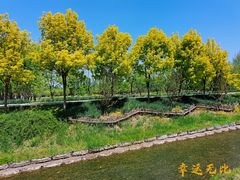 -东郊湿地公园