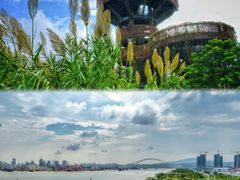 -芒洲湿地公园