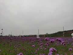 -西海岸生态观光园