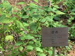 -广州神农草堂中医药博物馆