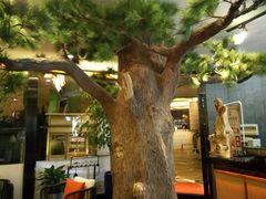 -富侨养生(光大会展店)
