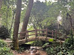 -火炉山森林公园
