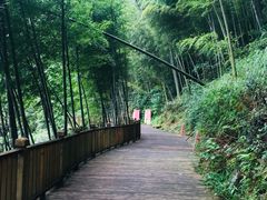 -赤水丹霞旅游区·佛光岩