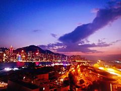 -天龙轩(香港丽思卡尔顿酒店)