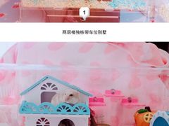 -雨林宠物医院 非犬猫异宠专科