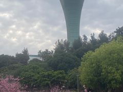 -狐尾山公园