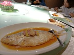 酒糟蒸鲥鱼-苔圣园酒家(尊木汇国际艺术广场店)