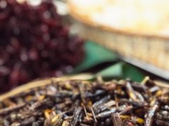 -银生食府·普洱菜(金星店)