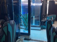 -绿树电竞(五路店)