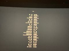 -金逸影城(大悦城IMAX激光店)