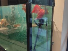 -扬州沐浴温泉物语