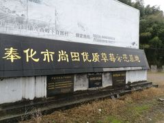 -尚田草莓姑娘白草莓采摘基地