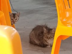 -大地农庄(逢沙大道店)