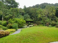 -云溪植物园